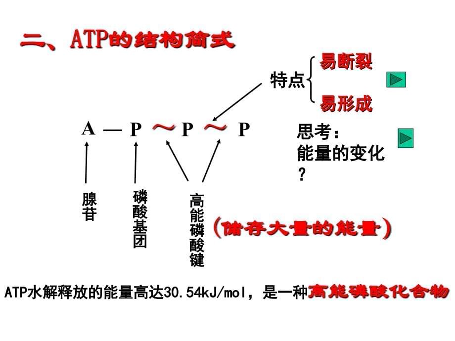 第二节新陈代谢与ATP_第5页
