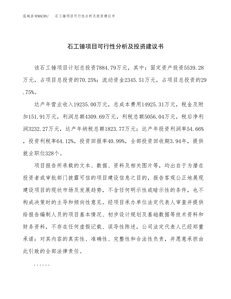 石工锤项目可行性分析及投资建议书.docx_第1页