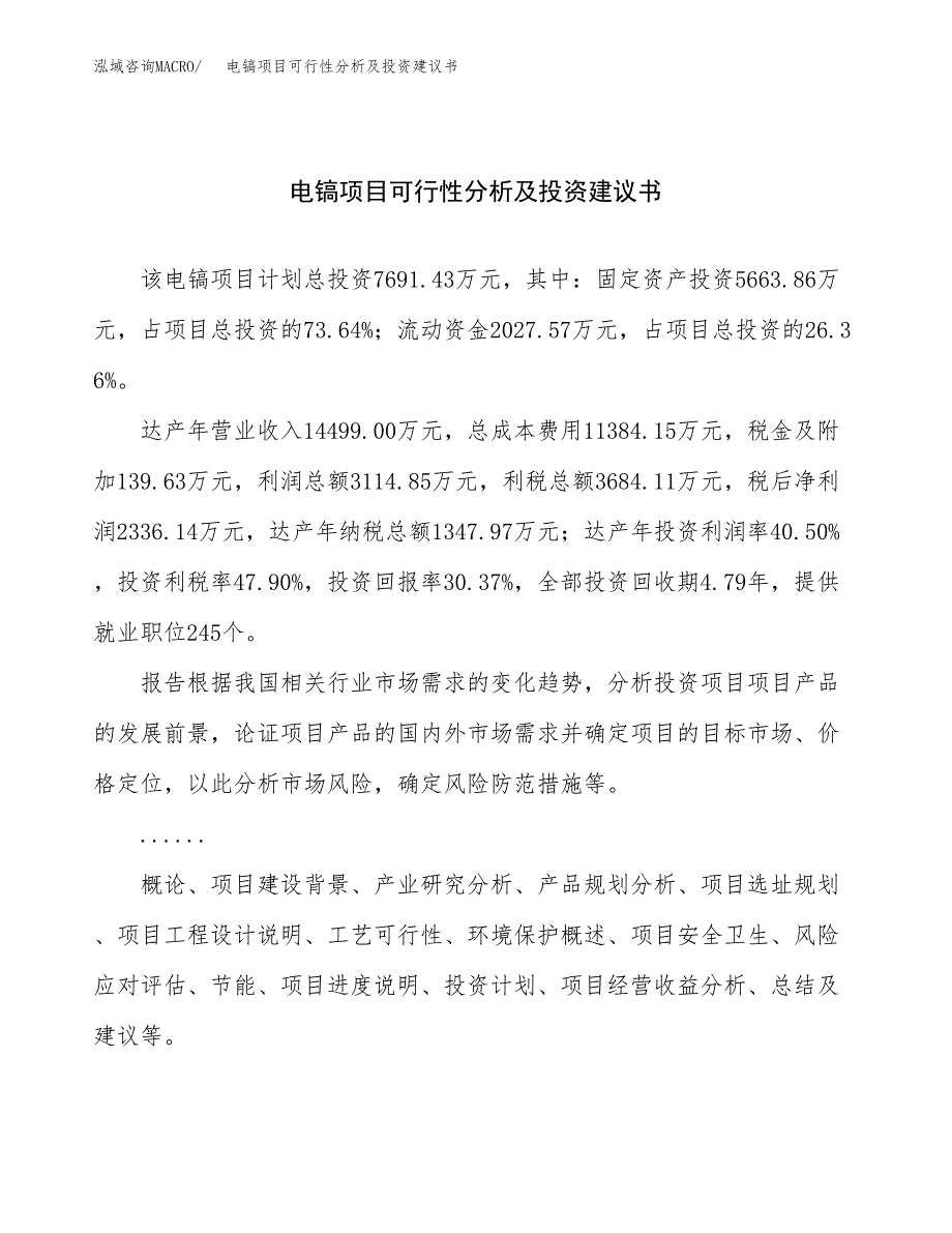 电镐项目可行性分析及投资建议书.docx_第1页