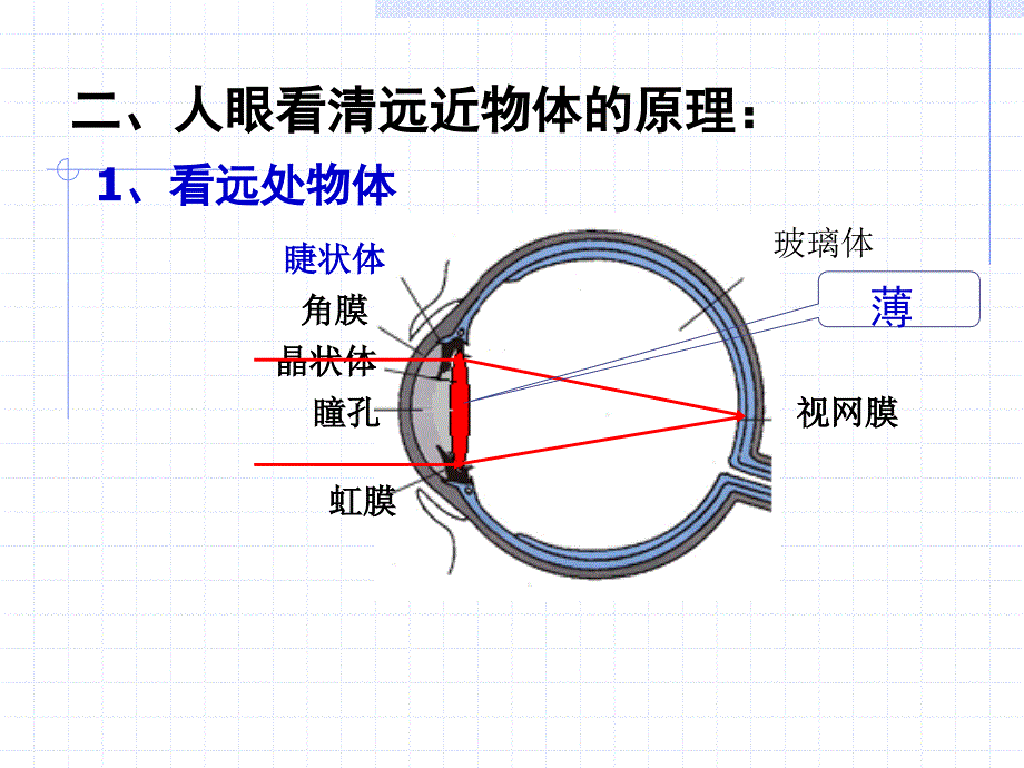 第四部分眼睛和眼镜教学课件_第3页