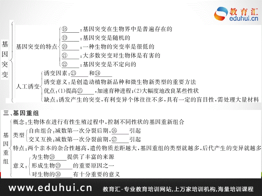 高考生物第一轮复习精品课件包第七单元生物的变异和进化29_第3页