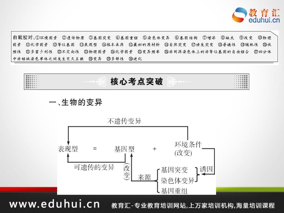 高考生物第一轮复习精品课件包第七单元生物的变异和进化29_第4页