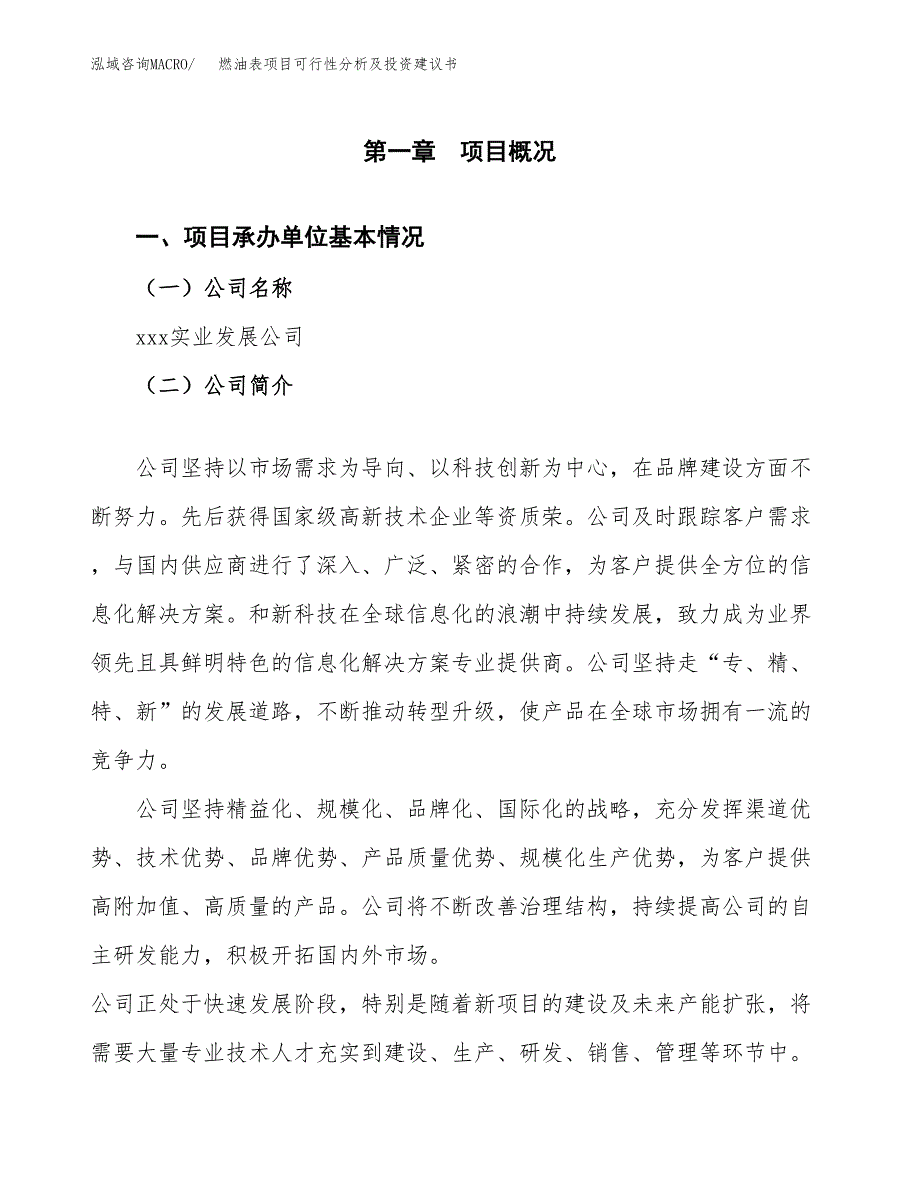 燃油表项目可行性分析及投资建议书.docx_第3页