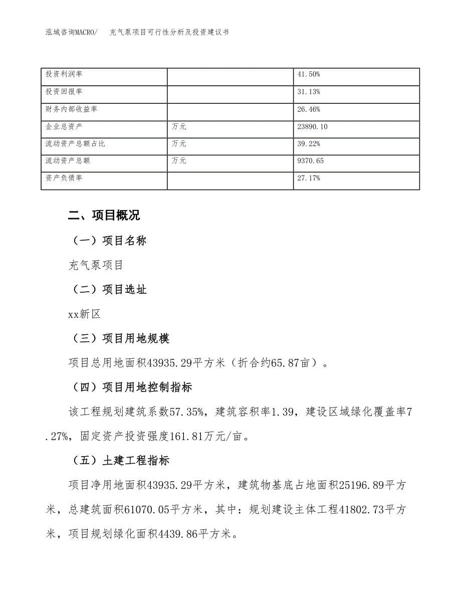 充气泵项目可行性分析及投资建议书.docx_第5页