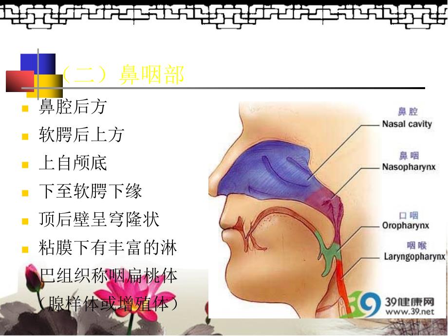 鼻咽部的CT解剖修改-医学资料_第3页