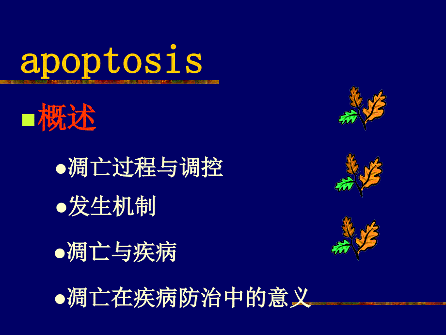 第7章细胞凋亡与疾病-医学资料_第2页