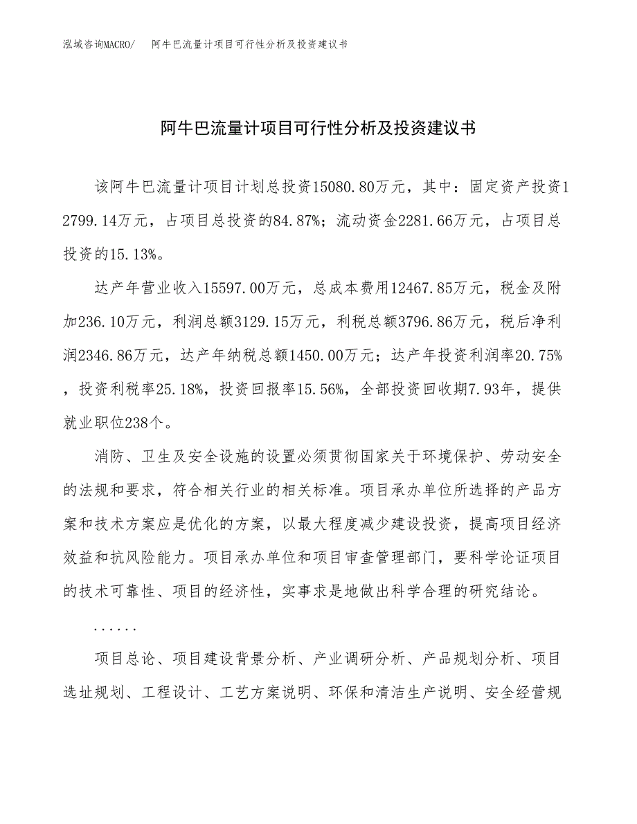 阿牛巴流量计项目可行性分析及投资建议书.docx_第1页