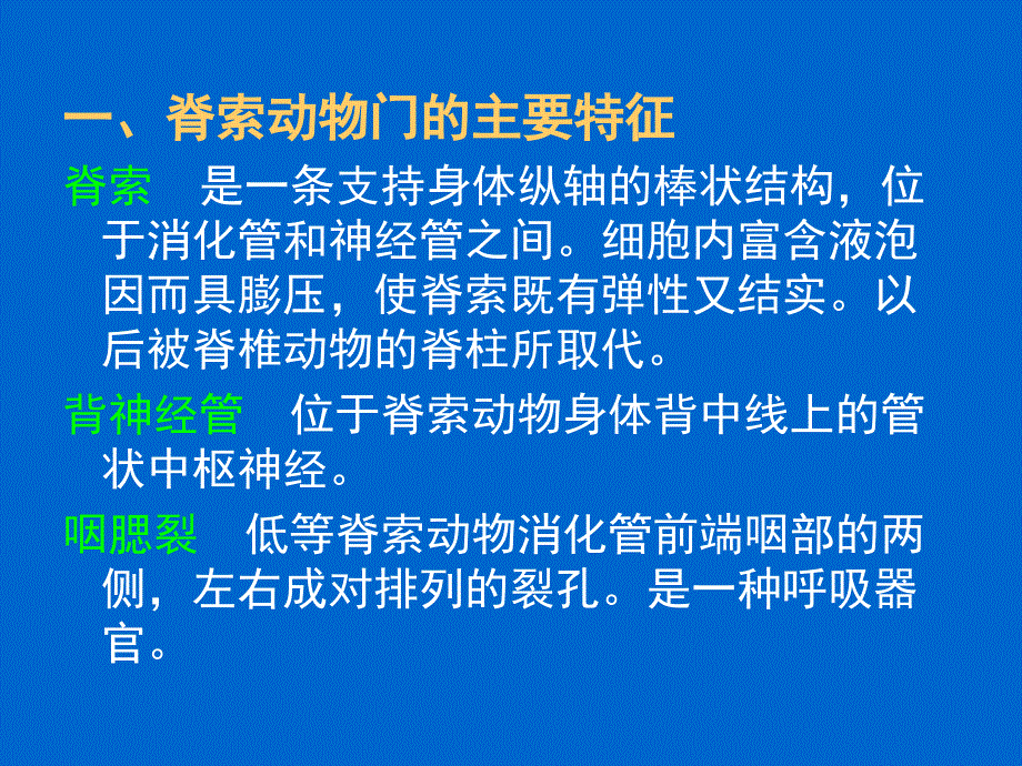 第十一节脊索动物门ppt课件_第2页