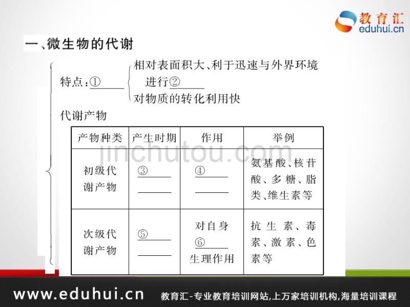 高考生物第一轮复习精品课件包第十三单元微生物与发酵工程48_第2页