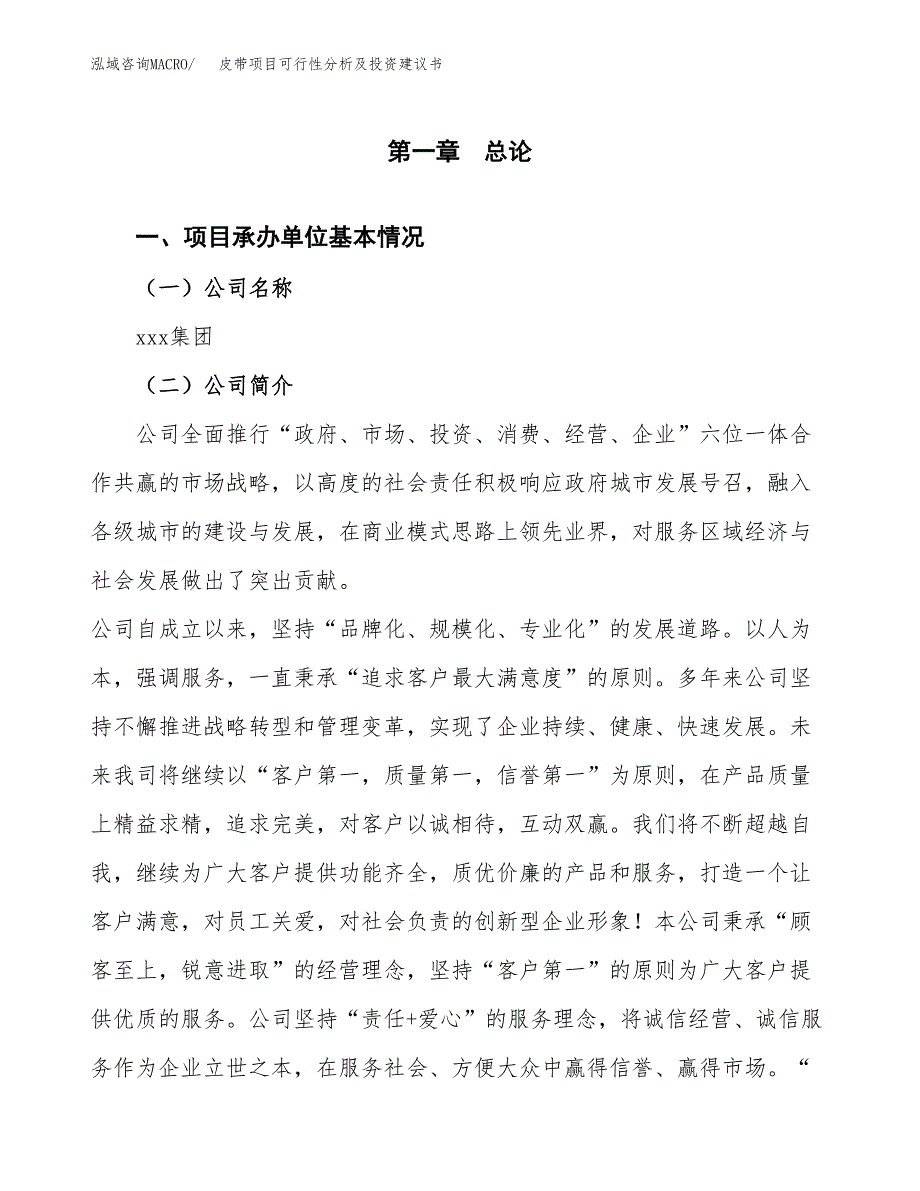 皮带项目可行性分析及投资建议书.docx_第3页