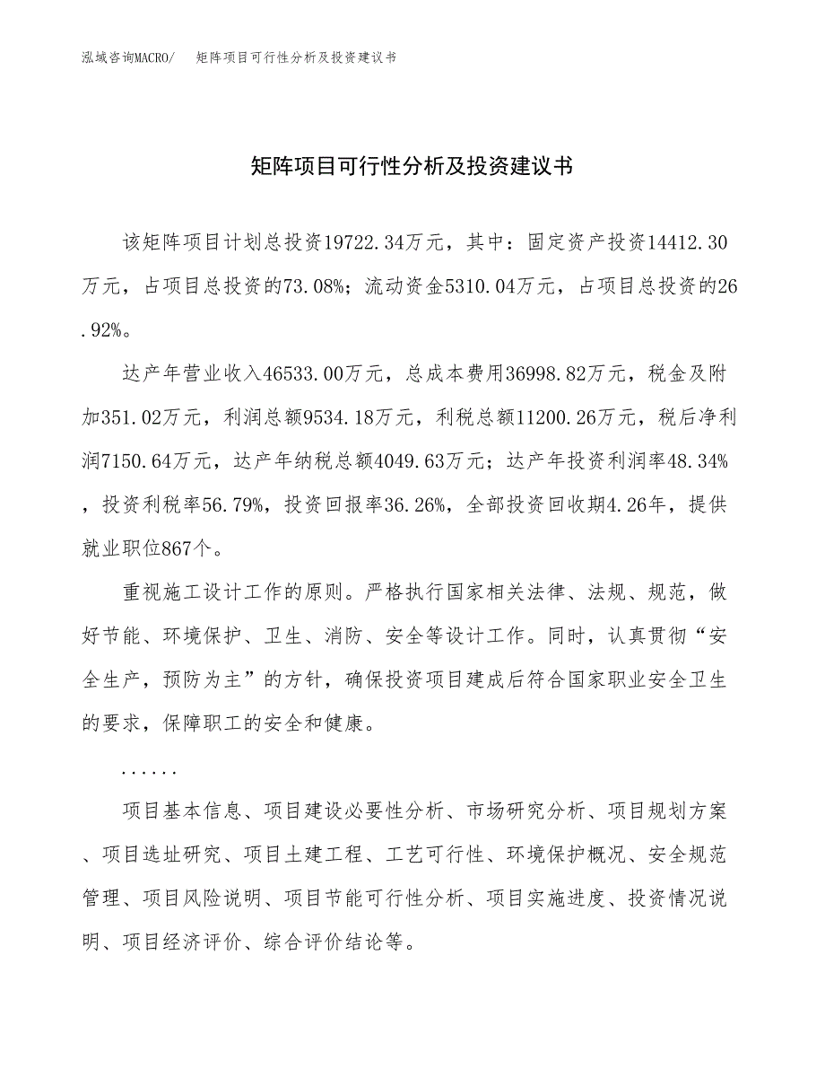 矩阵项目可行性分析及投资建议书.docx_第1页