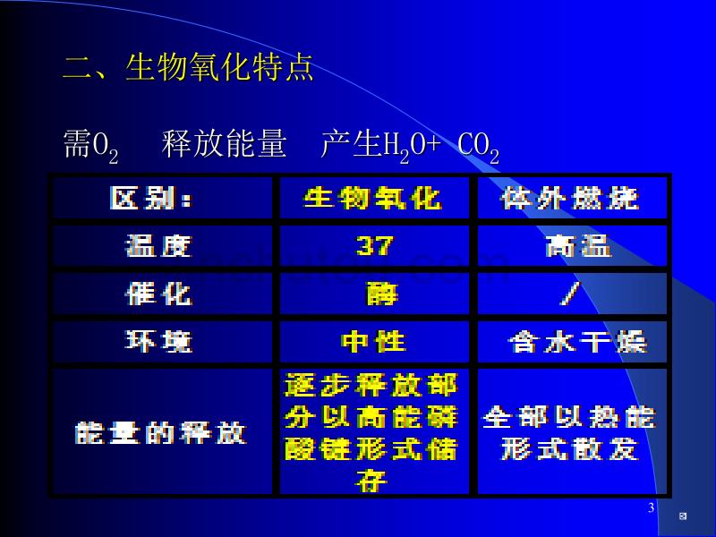 第八章生物氧化BiologicalOxidation_第3页