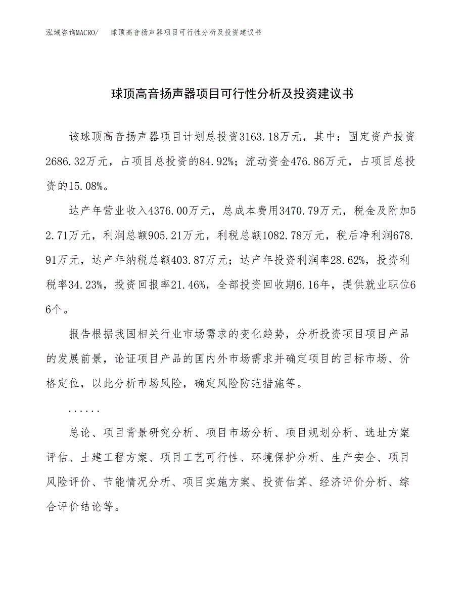 球顶高音扬声器项目可行性分析及投资建议书.docx_第1页