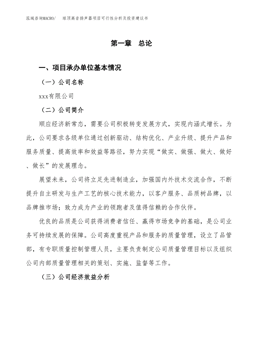 球顶高音扬声器项目可行性分析及投资建议书.docx_第2页