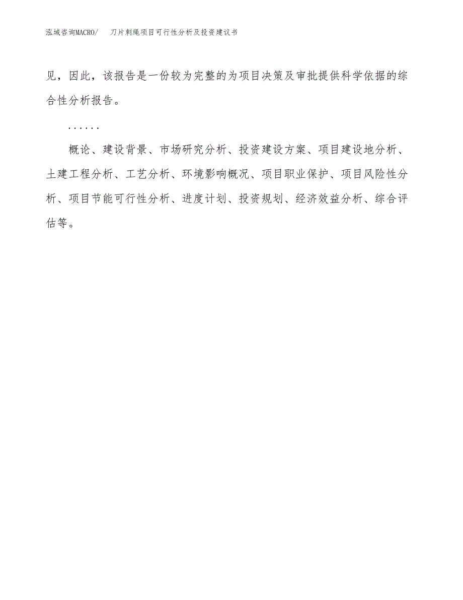 刀片刺绳项目可行性分析及投资建议书.docx_第2页