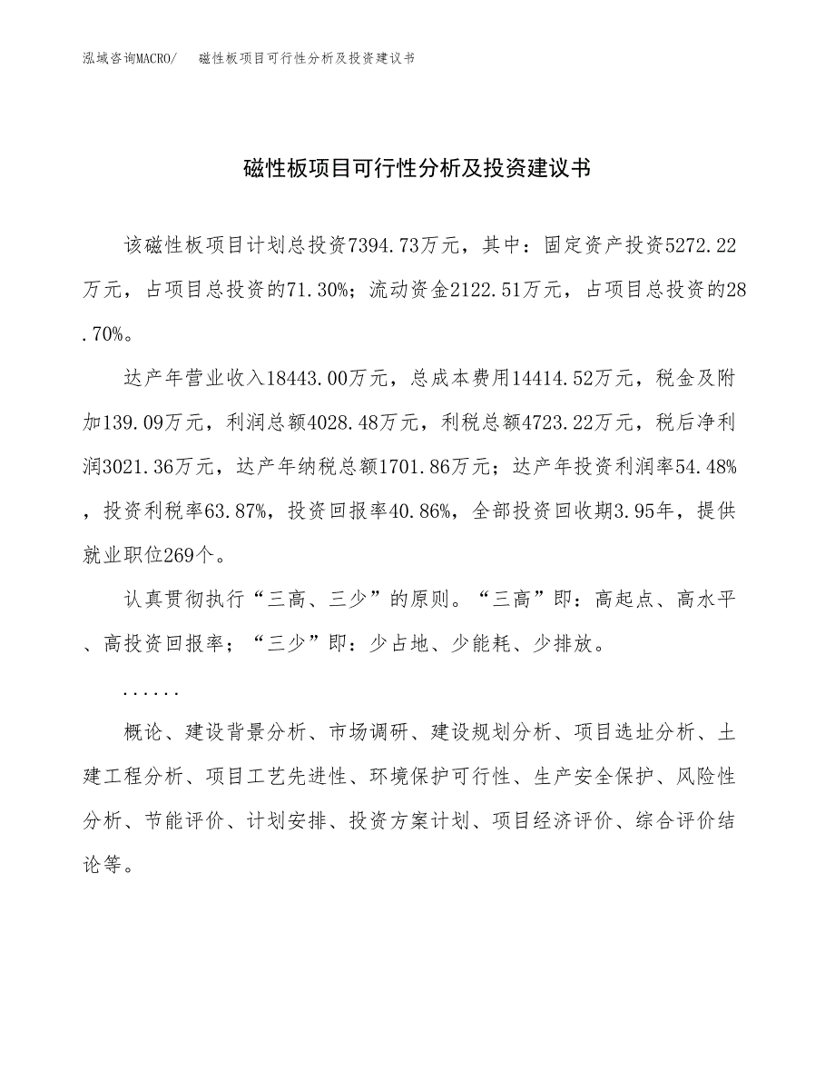 磁性板项目可行性分析及投资建议书.docx_第1页