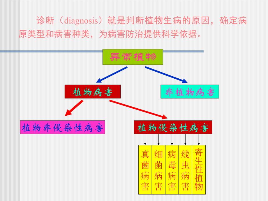 第一节植物病害的诊断_第3页