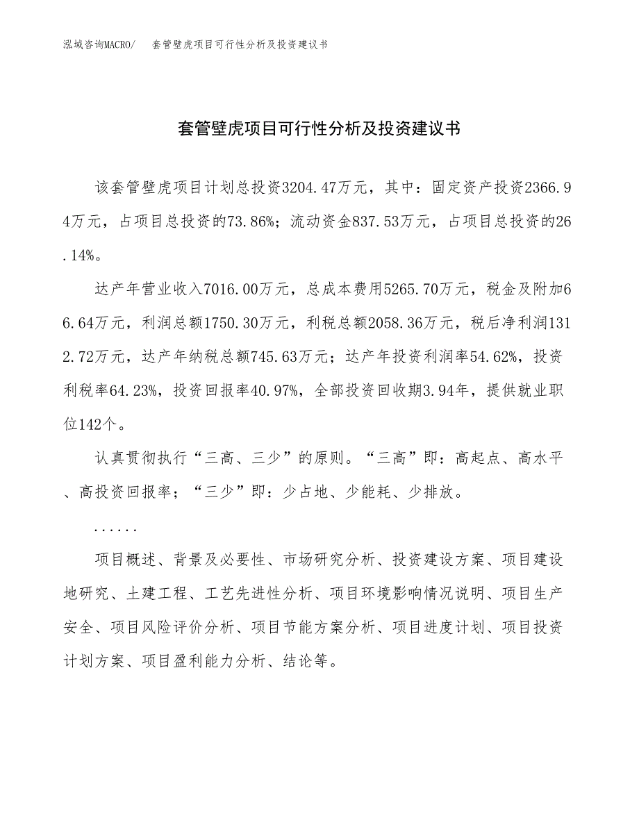 套管壁虎项目可行性分析及投资建议书.docx_第1页