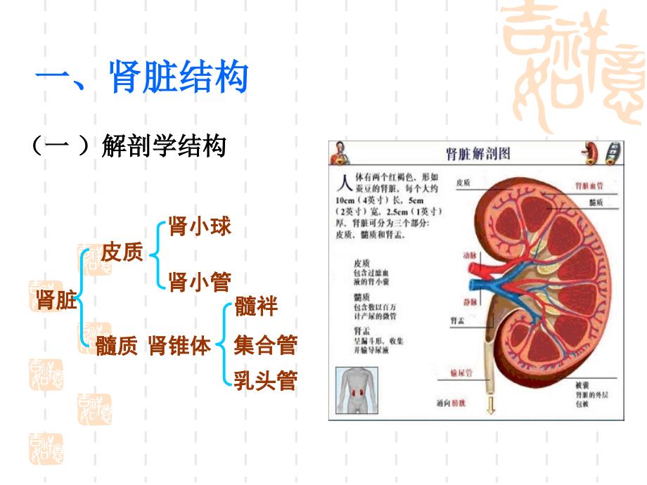 第十四肾脏功能检验_第4页