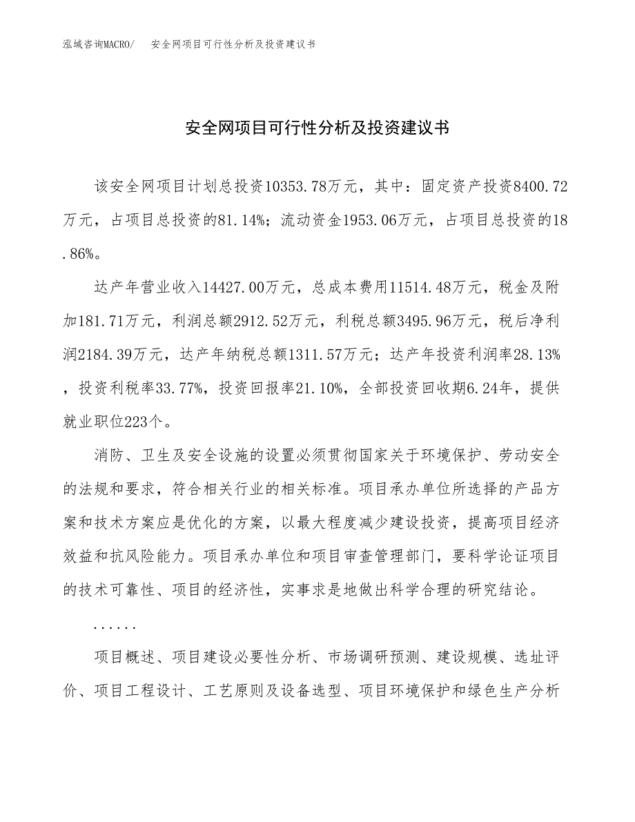 安全网项目可行性分析及投资建议书.docx_第1页