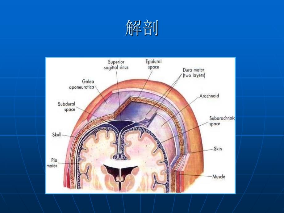 颅脑外伤研究生2009秋文字版_第3页