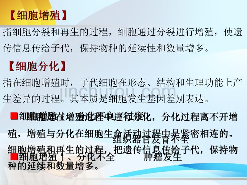 第8章细胞增殖分化异常与疾病-医学资料_第2页