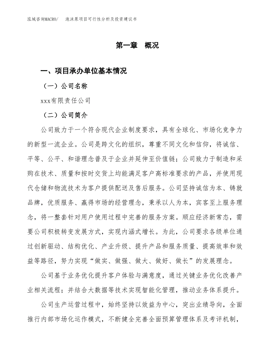 泡沫泵项目可行性分析及投资建议书.docx_第3页