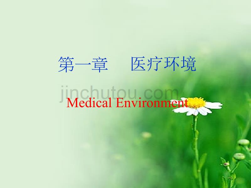 第一章医疗环境MedicalEnvironment_第1页