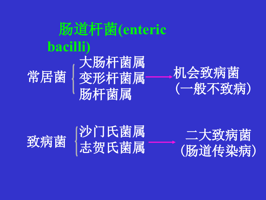 肠道杆菌entericbacillippt课件-医学资料_第3页