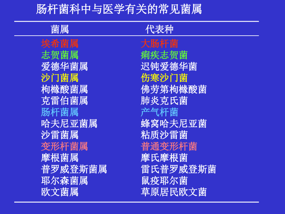 肠道杆菌entericbacillippt课件-医学资料_第4页