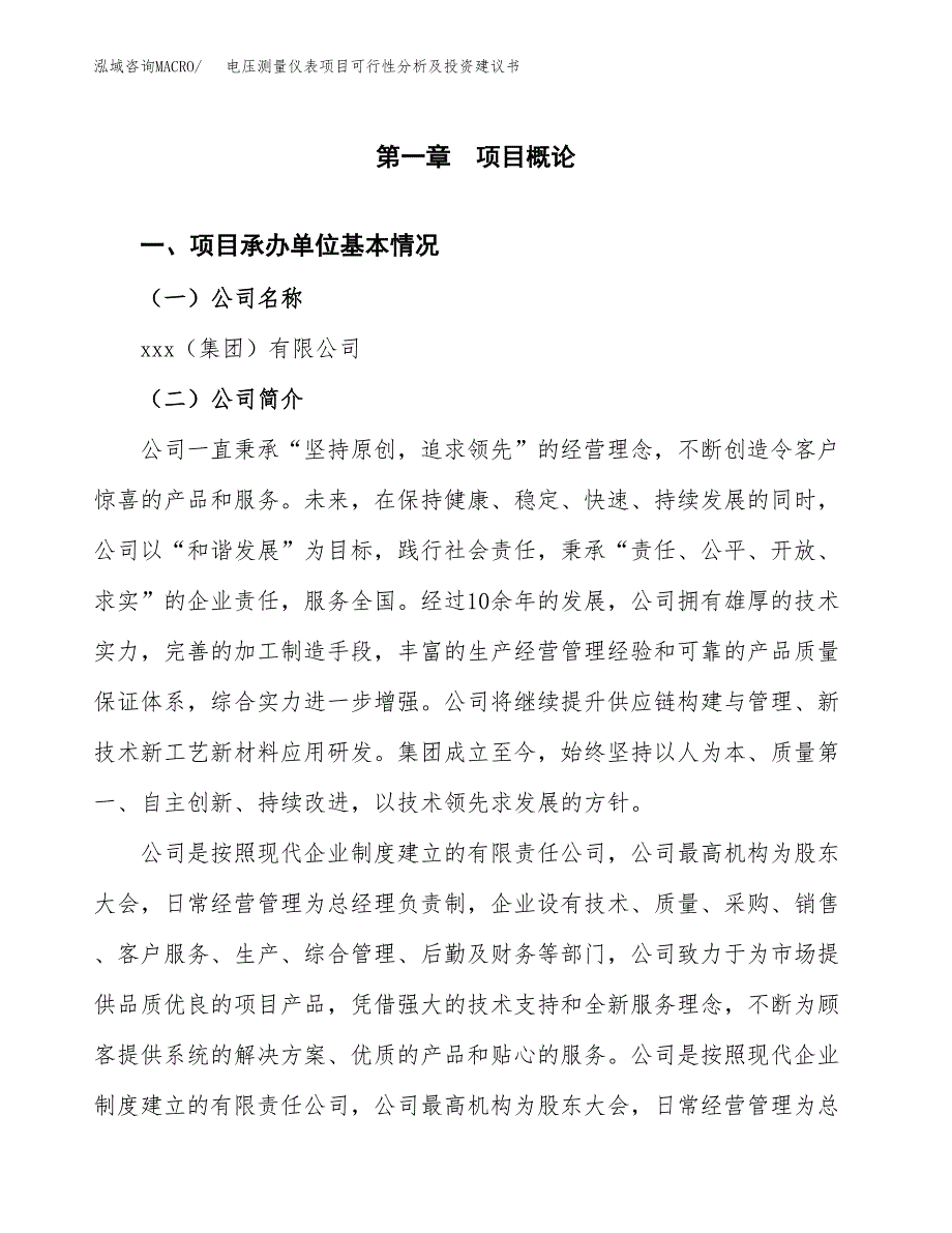 电压测量仪表项目可行性分析及投资建议书.docx_第3页