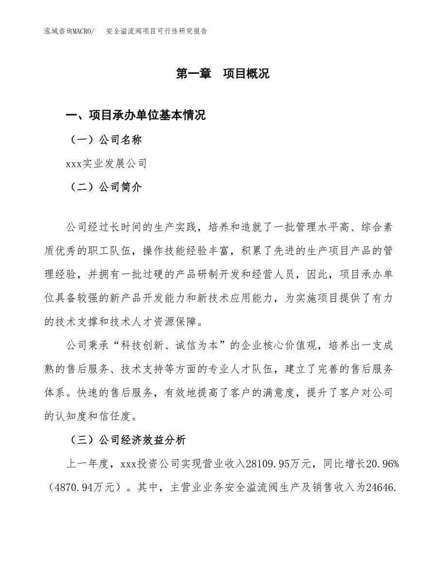 安全溢流阀项目可行性研究报告建议书.docx_第5页