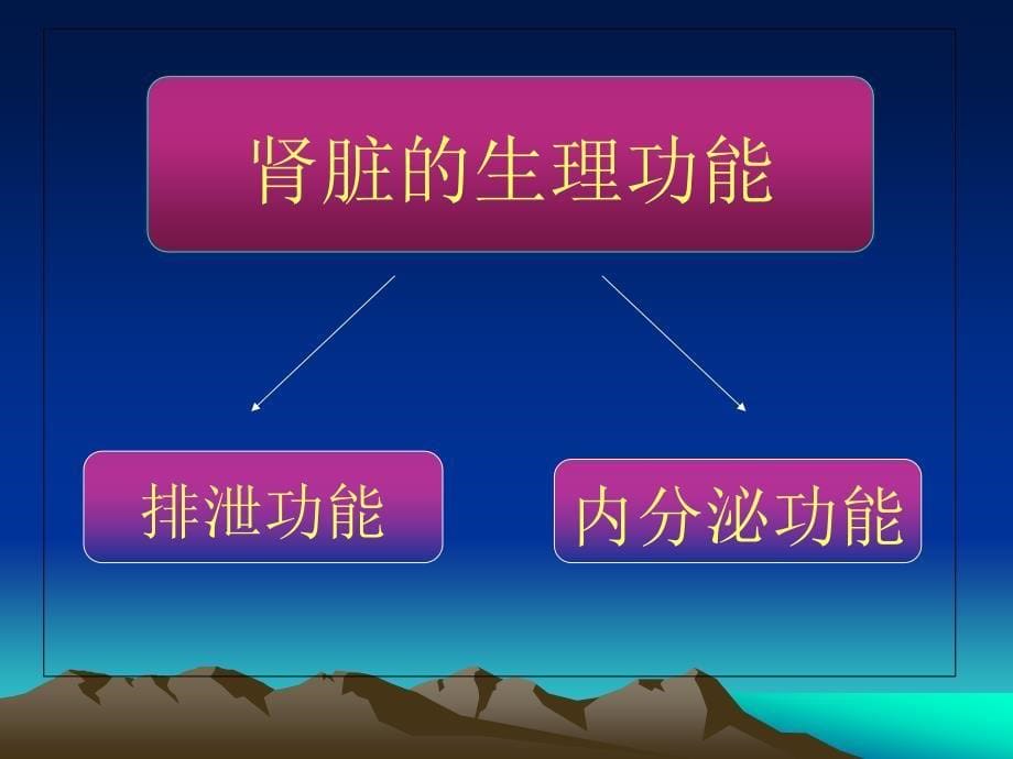 泌尿系统疾病第一章总论_第5页