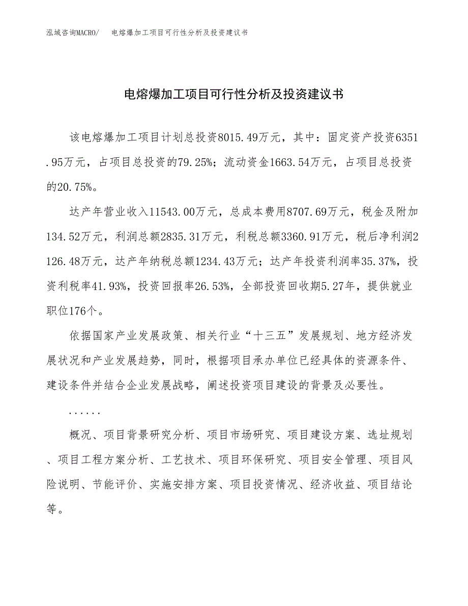 电熔爆加工项目可行性分析及投资建议书.docx_第1页