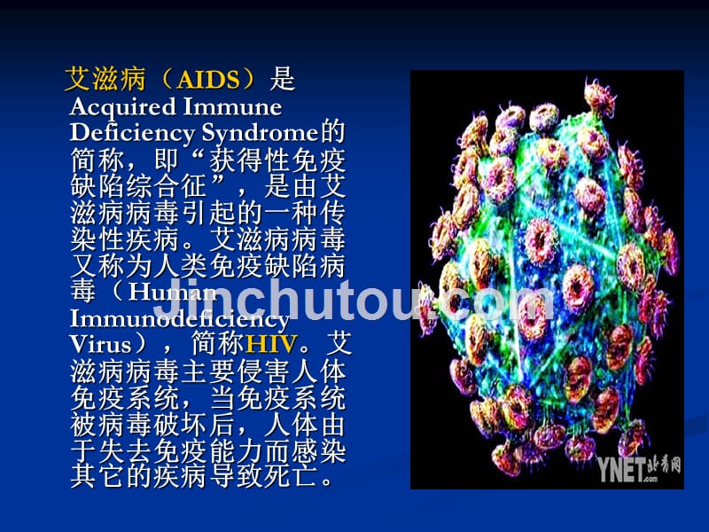 艾滋病防治基本知识-医学资料_第4页