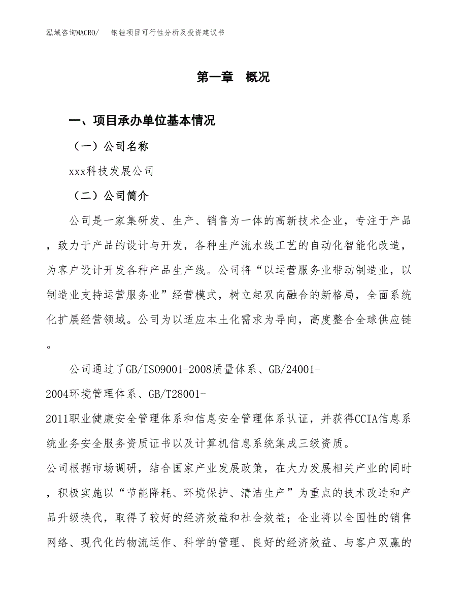 钢锉项目可行性分析及投资建议书.docx_第3页