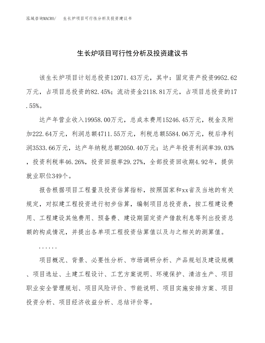 生长炉项目可行性分析及投资建议书.docx_第1页