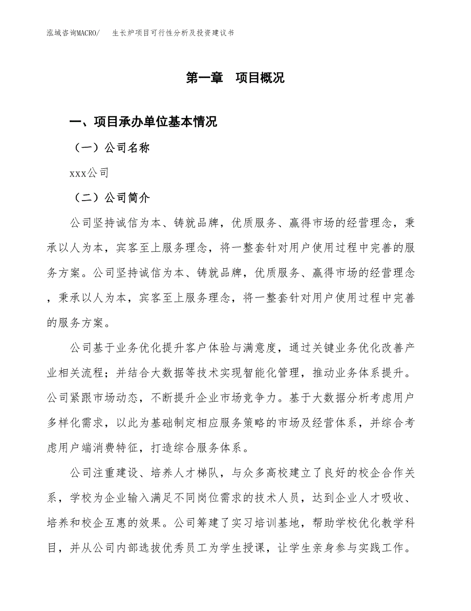 生长炉项目可行性分析及投资建议书.docx_第3页