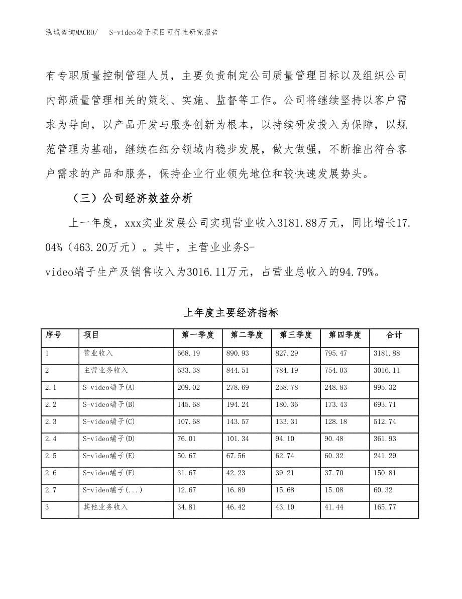 S-video端子项目可行性研究报告建议书.docx_第5页