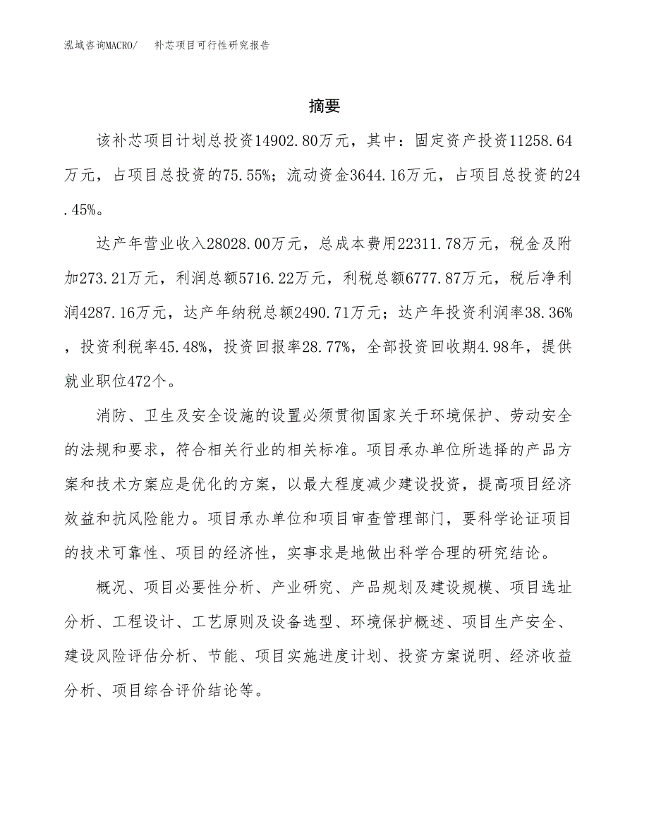 补芯项目可行性研究报告建议书.docx_第2页