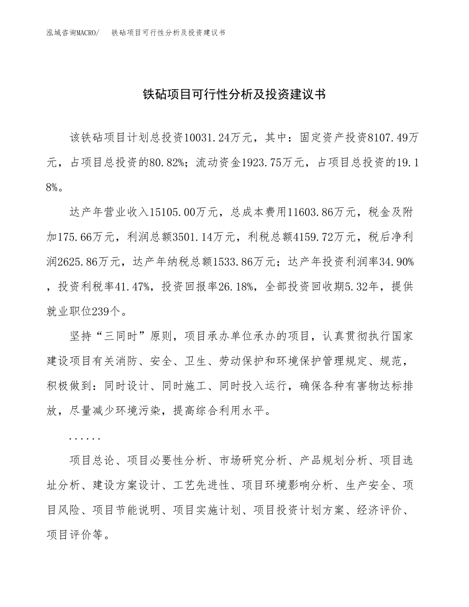 铁砧项目可行性分析及投资建议书.docx_第1页