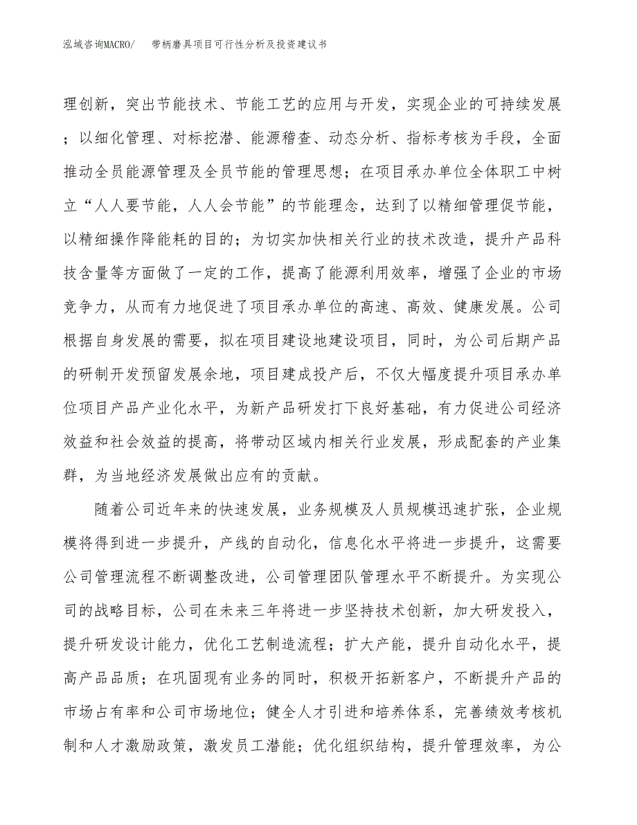 带柄磨具项目可行性分析及投资建议书.docx_第3页