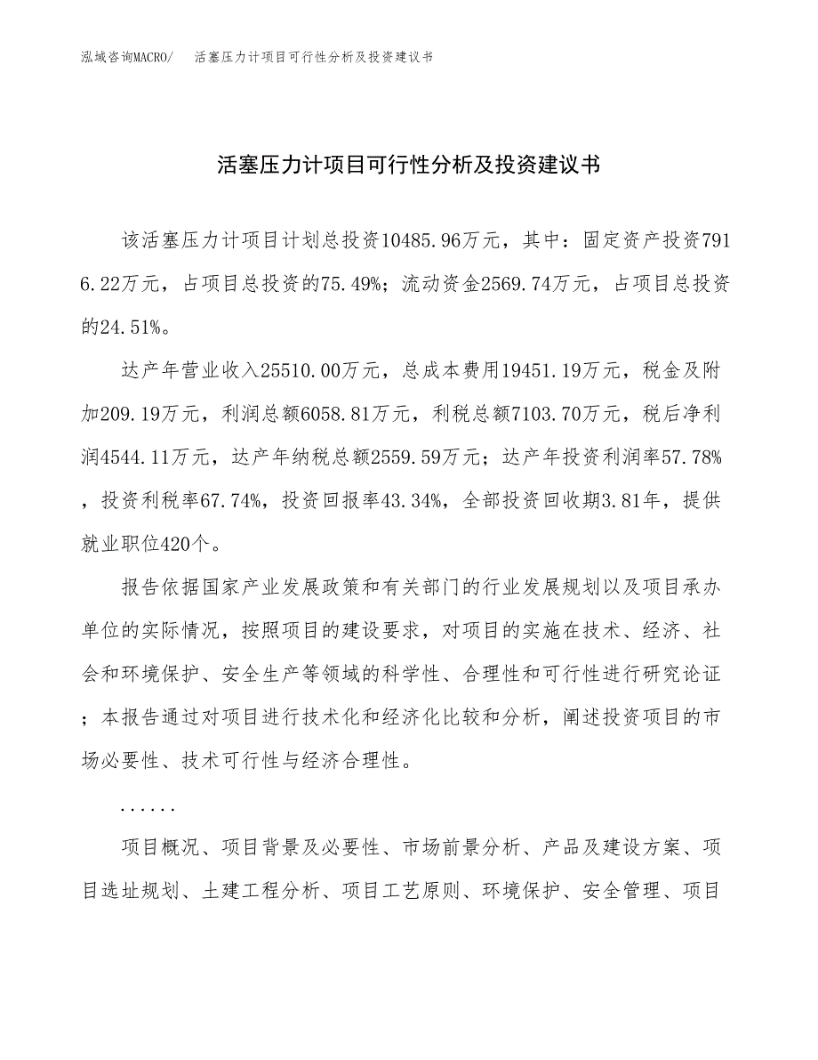 活塞压力计项目可行性分析及投资建议书.docx_第1页