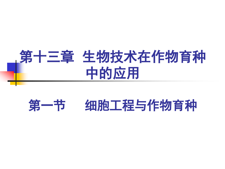 第十三章生物技术在植物育种中的应用课件_第4页