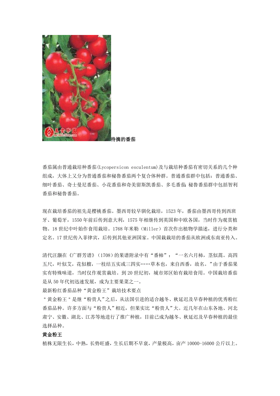 健康必读-番茄 含有类阿司匹林 防治心血管病 具有抗癌功效_第3页