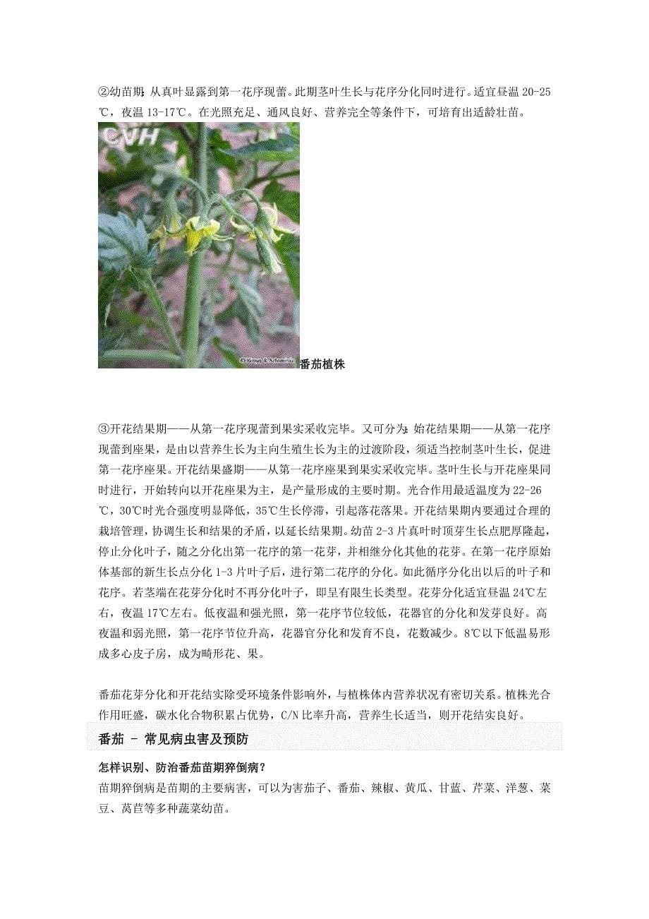 健康必读-番茄 含有类阿司匹林 防治心血管病 具有抗癌功效_第5页