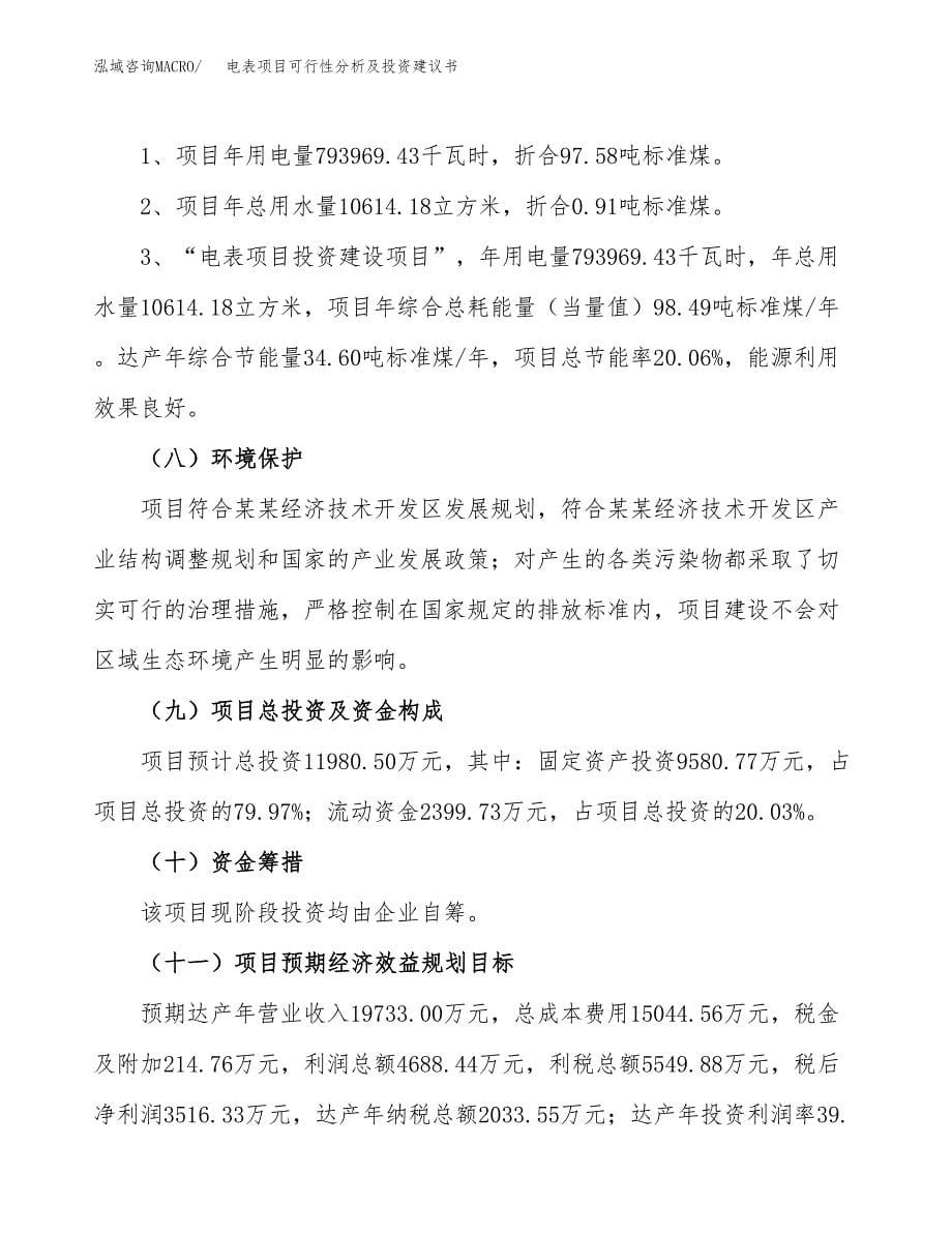 电表项目可行性分析及投资建议书.docx_第5页