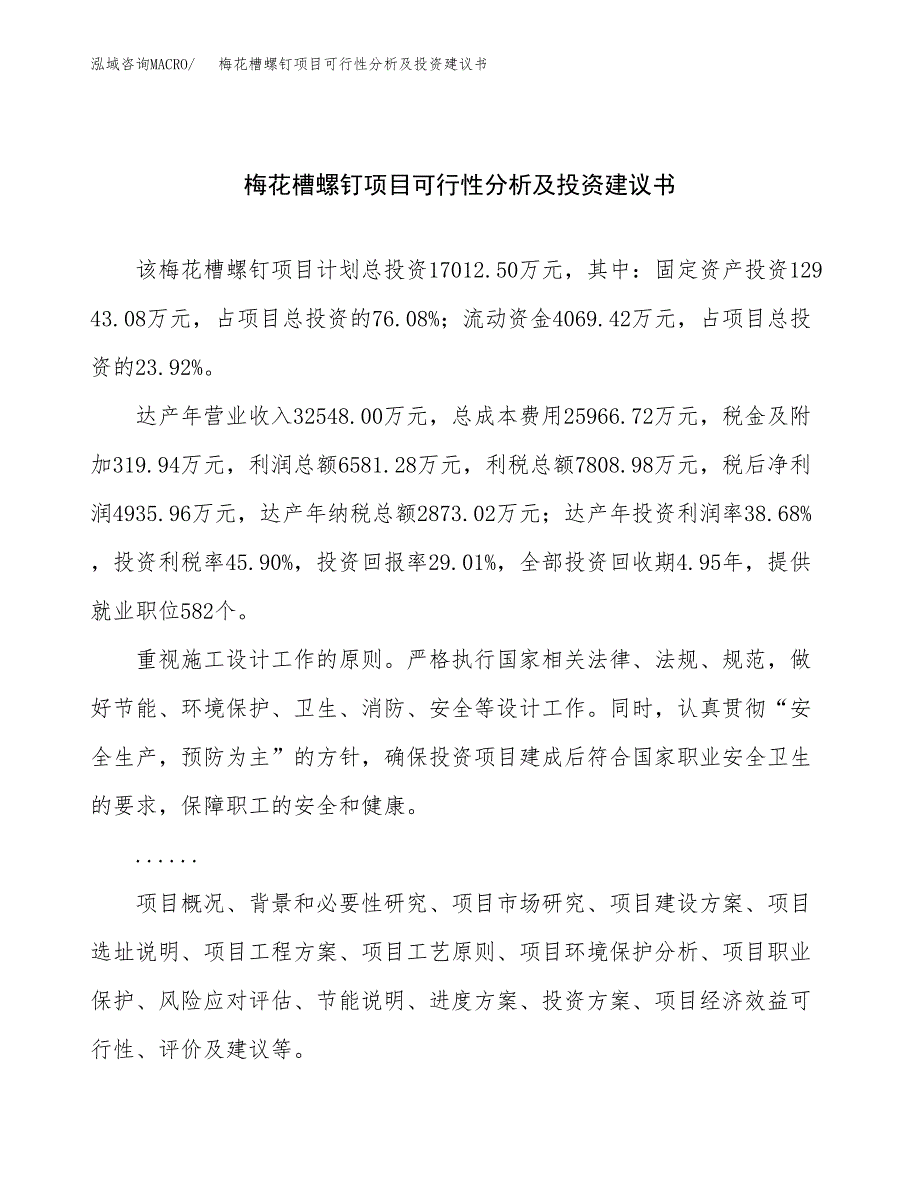 梅花槽螺钉项目可行性分析及投资建议书.docx_第1页