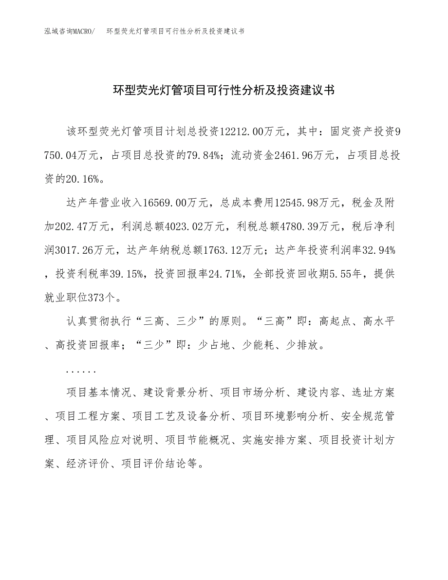 环型荧光灯管项目可行性分析及投资建议书.docx_第1页