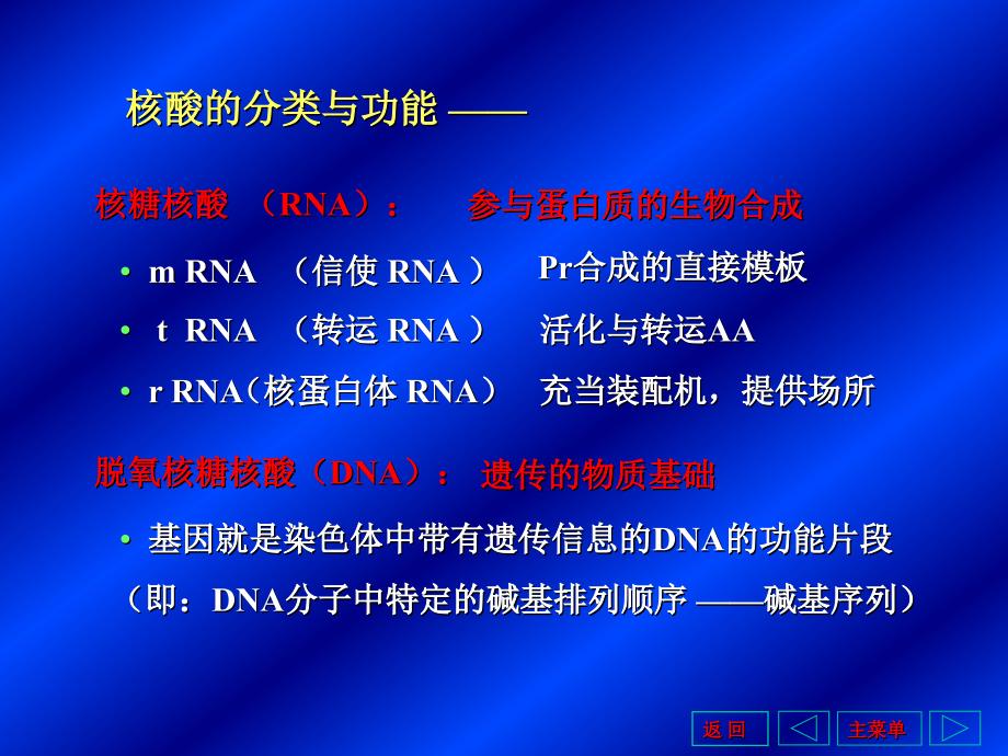 第十一部分基因信息的储存和表达教学课件_第3页